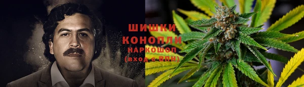 дурь Карпинск
