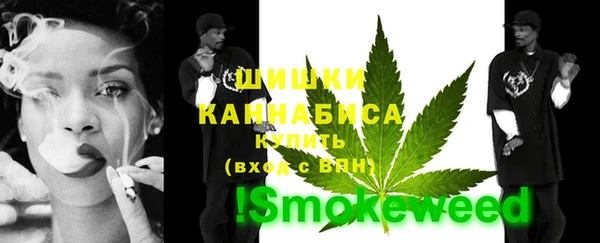 дурь Карпинск
