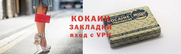 дурь Карпинск