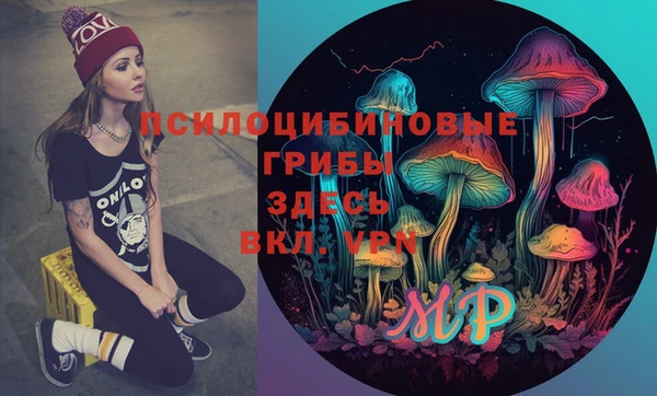 дурь Карпинск