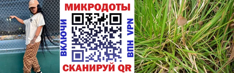 Псилоцибиновые грибы Cubensis  Купить  Шали 